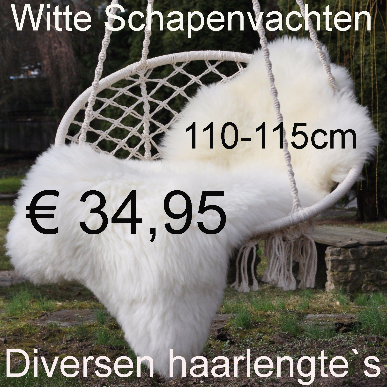 Schapenvacht WIT 110> 115cm Schapenvel vacht € 34,95 vacht Vacht Schapenvel Schapenhuid