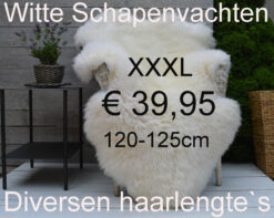 Schapenvacht WIT 120> 125cm Schapenvel vacht € 39,95 vacht Vacht Schapenhuid Schapenvel