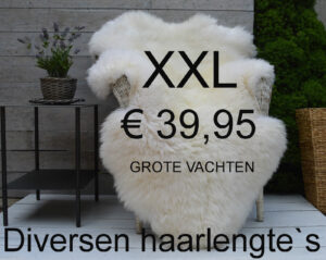 Schapenvacht WIT 120> 125cm Schapenvel vacht € 39,95 vacht Vacht Schapenhuid Schapenvel