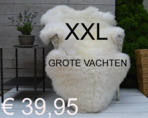 Schapenvacht WIT 120> 125cm Schapenvel vacht € 39,95 vacht Vacht Schapenhuid Schapenvel