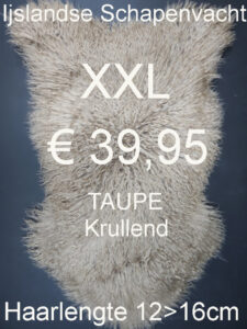 IJSLANDSE TAUPE KRULLEND 120>125cm Schapenvacht Schapenvel € 39,95
