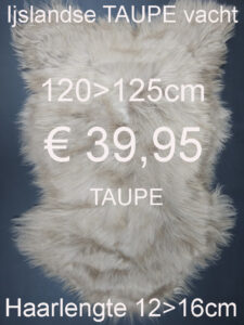 IJSLANDSE TAUPE 120>125cm Schapenvacht Schapenvel Schapenhuid Vacht € 39,95