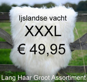 IJslandse WIT Schapenvacht 130>135cm Schapenvel € 49,95 Vacht Schapenhuid Schapenvel