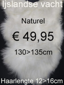 IJslandse WIT Schapenvacht 130>135cm Schapenvel € 49,95 Vacht Schapenhuid Schapenvel