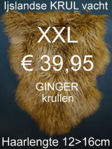 Ijslandse GINGER KRULLEND Schapenvacht 120>125cm Schapenvel Vacht € 39,95