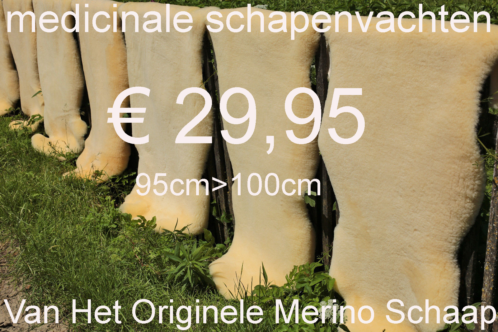 Medicinale MERINO 95>100 Schapenvacht KORT H. € 29,95 Vacht Schapenhuid Schapenvel