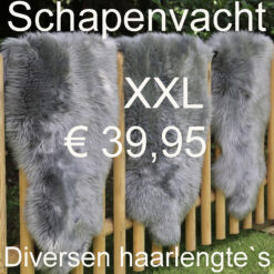 Schapenvacht GRIJS 120> 125cm Schapenvel € 39,95 Vacht Schapenhuid Schapenvel