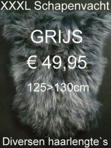 Schapenvacht GRIJS 125> 130cm Schapenvel € 49,95 Vacht Schapenhuid Schapenvel