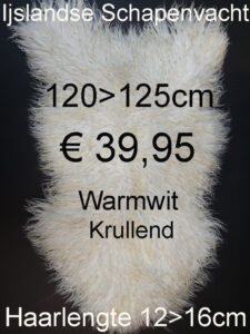 IJSLANDSE WARMWIT Krullende Schapenvacht Schapenvel 120>125cm € 39,95