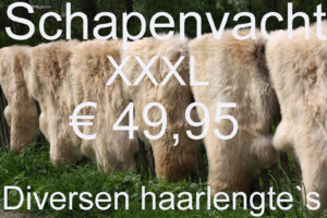 Schapenvacht BEIGE 130> 135cm Schapenvel € 49,95 Vacht Schapenhuid Schapenvel