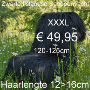 IJslandse Schapenvacht ZWART 120>125cm Schapenvel € 49,95 Vacht