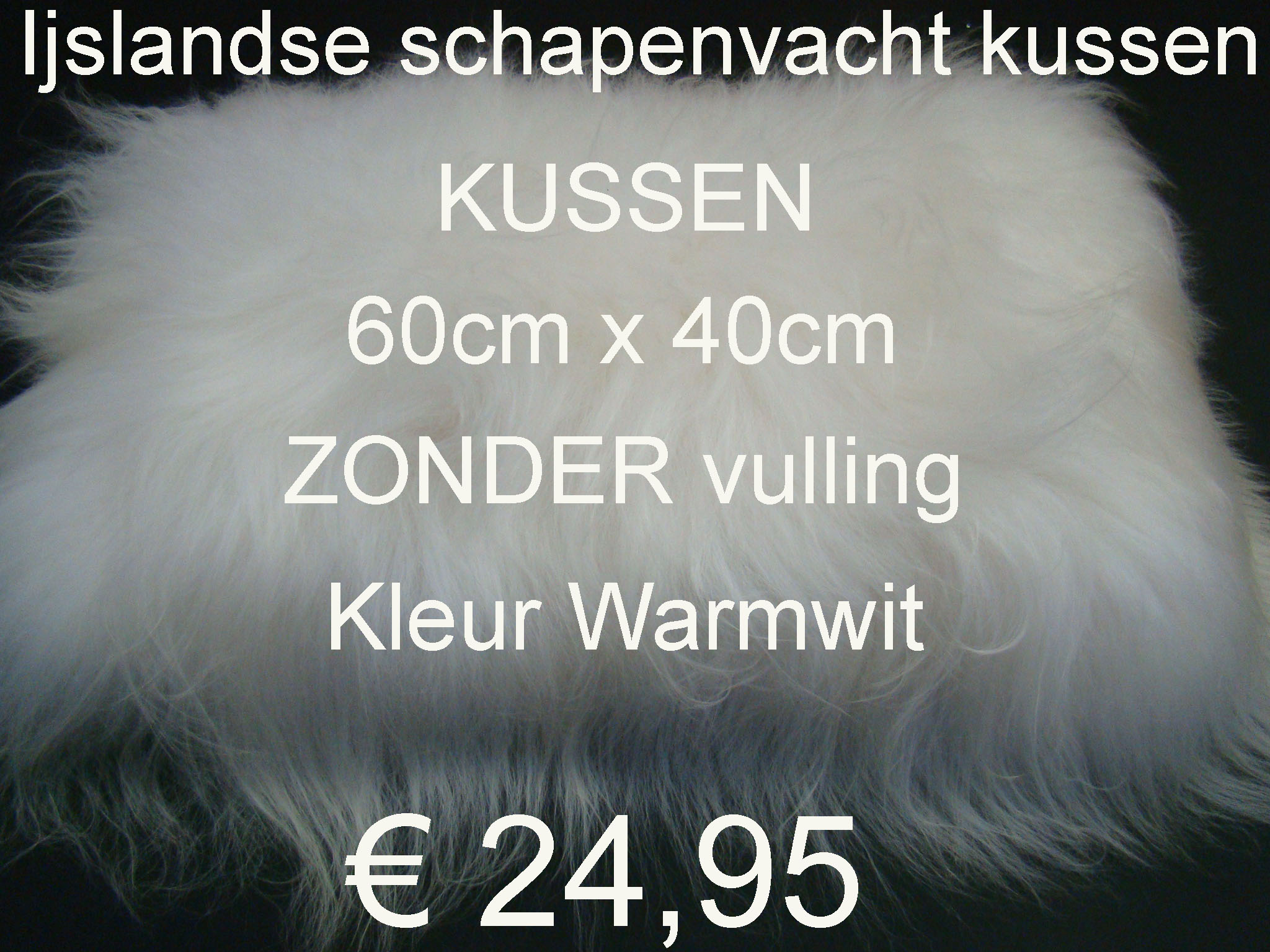 Kussen1 (2)