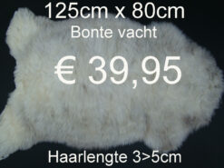 Natuurlijke BONTE Vacht Schapenvacht schapenvel  > KLIK 3x OP DE FOTO < (No.23)