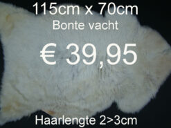 Natuurlijke BONTE Vacht Schapenvacht schapenvel  > KLIK 3x OP DE FOTO < (No.36)