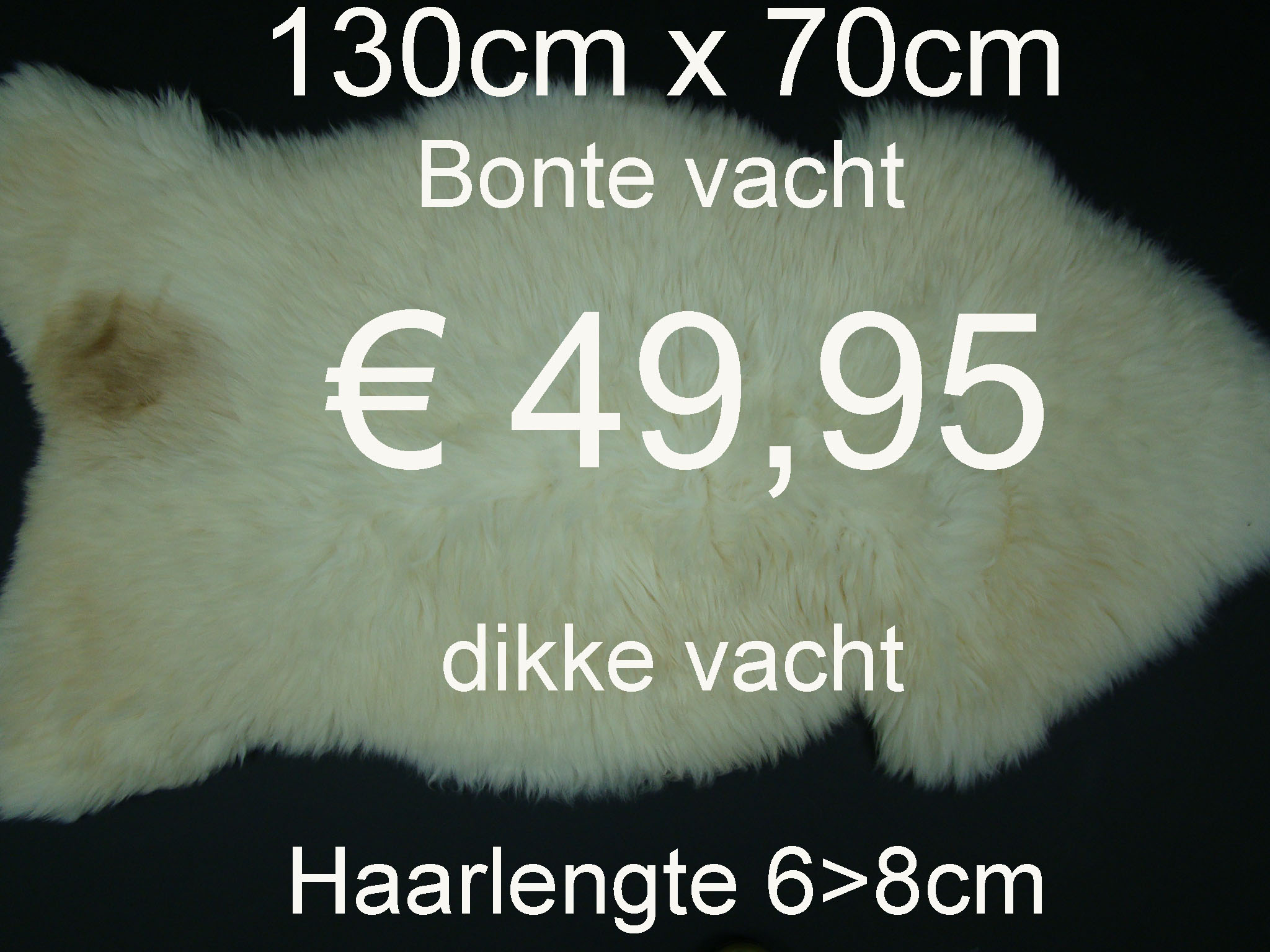 Bonte46