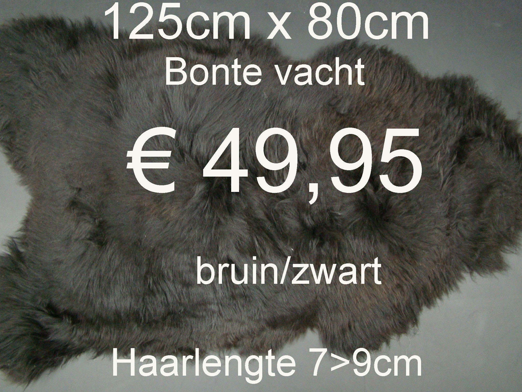 Bonte50