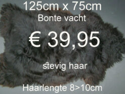 Natuurlijke BONTE Vacht Schapenvacht schapenvel  > KLIK 3x OP DE FOTO < (No.53)