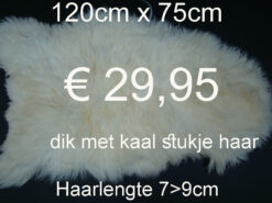 Schapenvacht schapenvel schapenhuid > klik 3x op de foto (Diversen No.74)