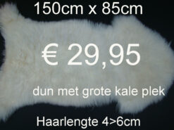 Schapenvacht schapenvel schapenhuid > klik 3x op de foto (Diversen No.85)