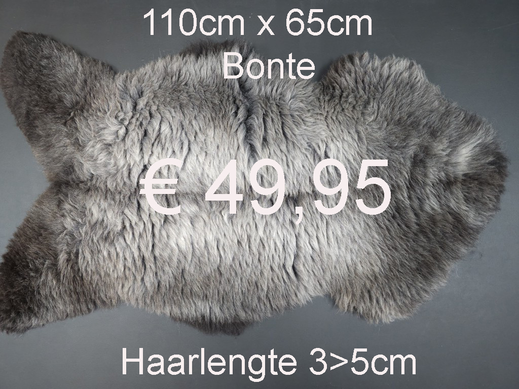 BONTE Schapenvacht schapenvel schapenhuid Vacht > klik 2x op de foto < (No.6)