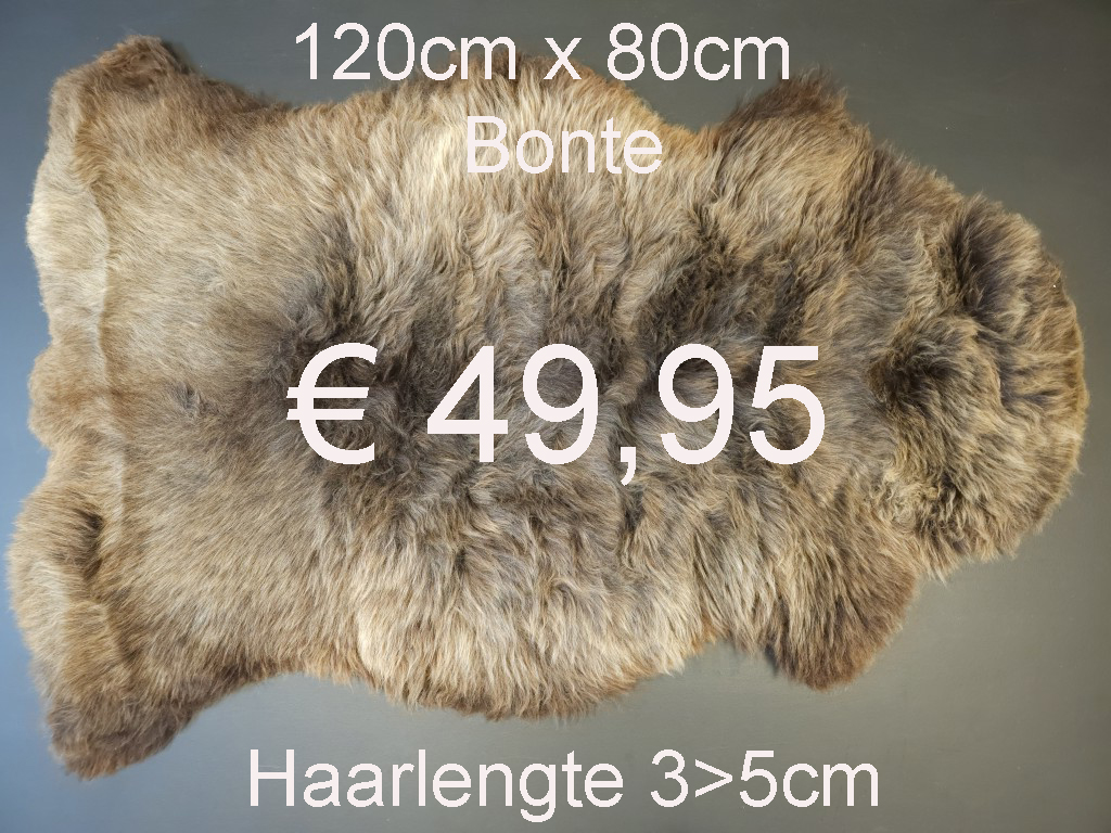 BONTE Schapenvacht schapenvel schapenhuid Vacht > klik 2x op de foto < (No.10)