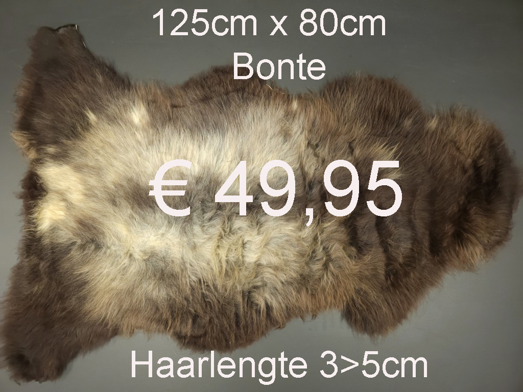 BONTE Schapenvacht schapenvel schapenhuid Vacht > klik 2x op de foto < (No.21)