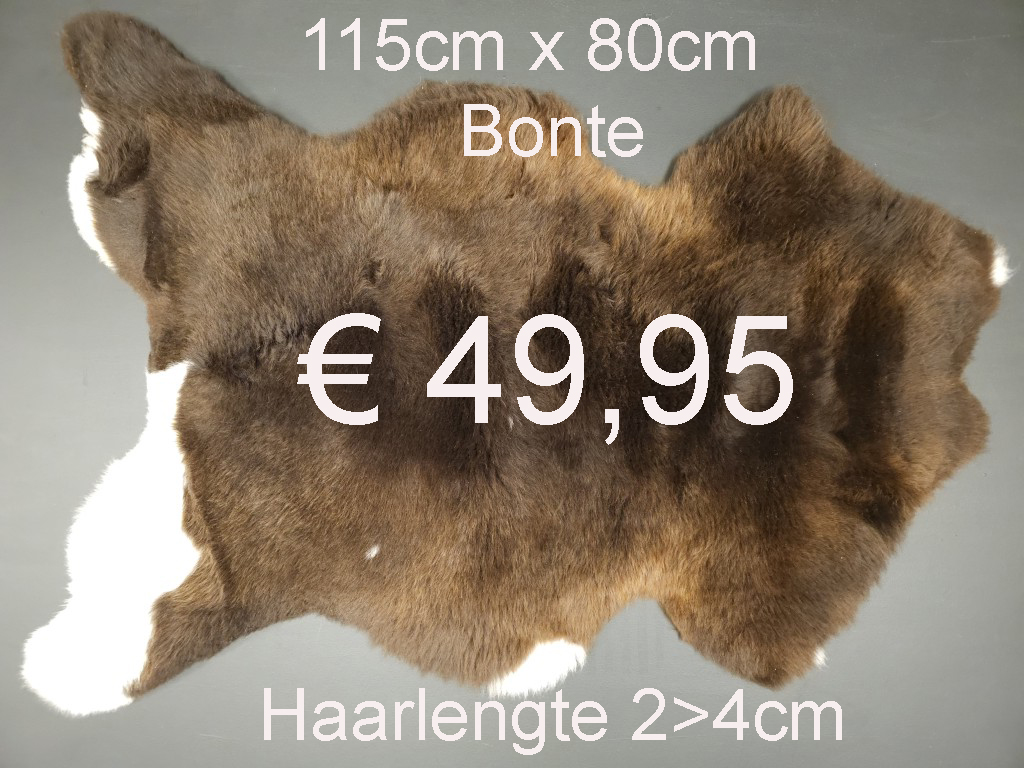 BONTE Schapenvacht schapenvel schapenhuid Vacht > klik 2x op de foto < (No.28)