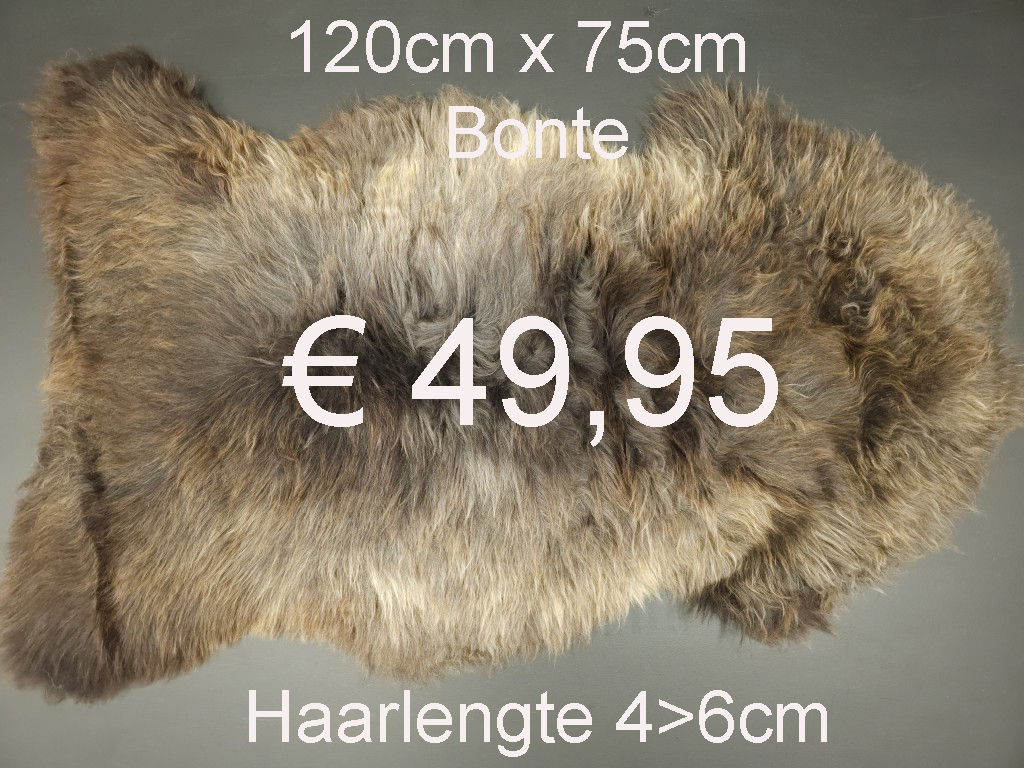 BONTE Schapenvacht schapenvel schapenhuid Vacht > klik 2x op de foto < (No.29)
