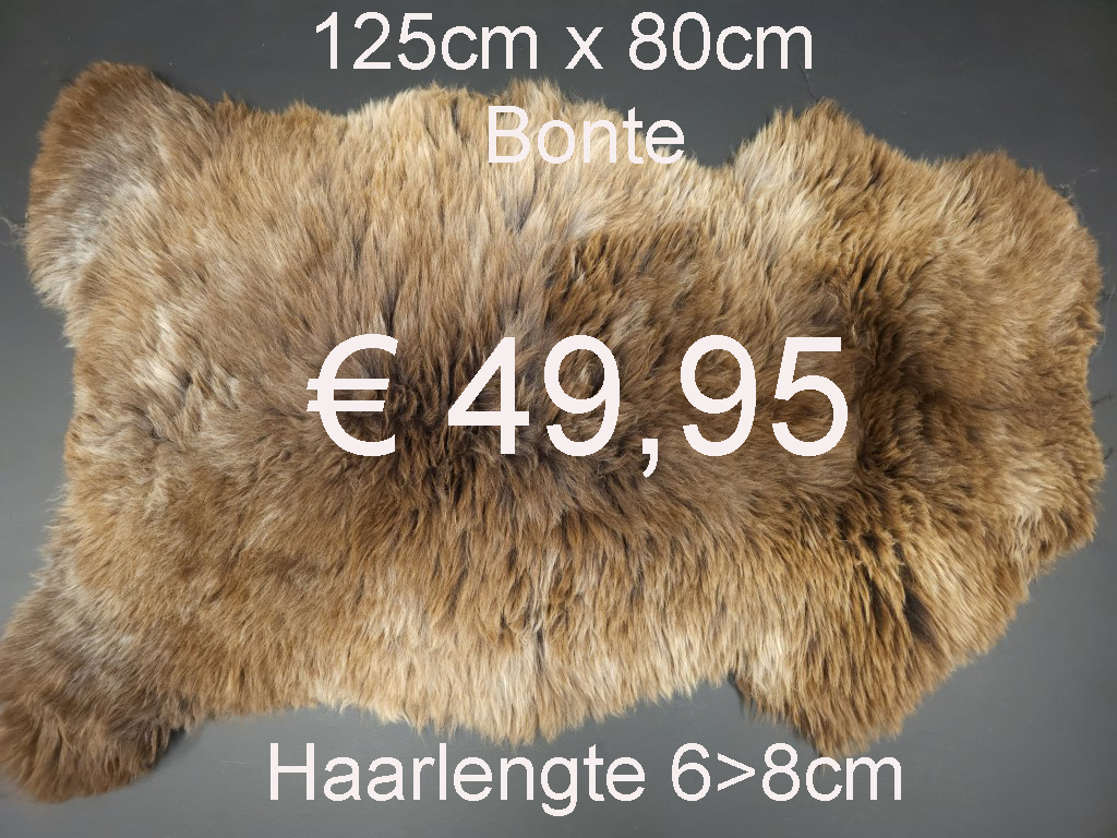 BONTE Schapenvacht schapenvel schapenhuid Vacht > klik 2x op de foto < (No.30)