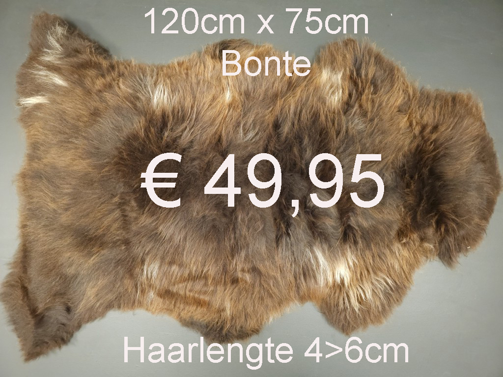 BONTE Schapenvacht schapenvel schapenhuid Vacht > klik 2x op de foto < (No.32)