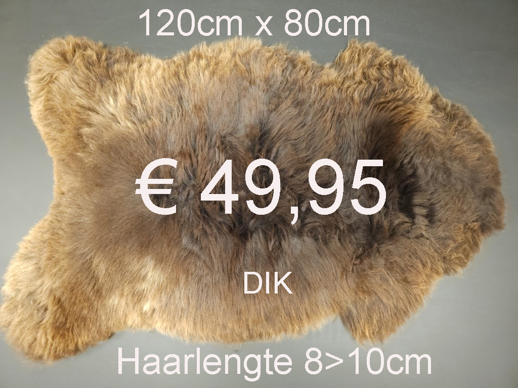 BONTE Schapenvacht schapenvel schapenhuid Vacht > klik 2x op de foto < (No.35)
