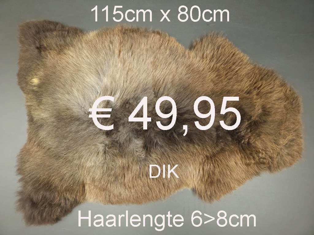 BONTE Schapenvacht schapenvel schapenhuid Vacht > klik 2x op de foto < (No.36)