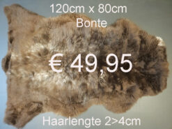 BONTE Schapenvacht schapenvel schapenhuid Vacht > klik 2x op de foto < (No.9)