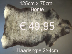 BONTE Schapenvacht schapenvel schapenhuid Vacht > klik 2x op de foto < (No.40)