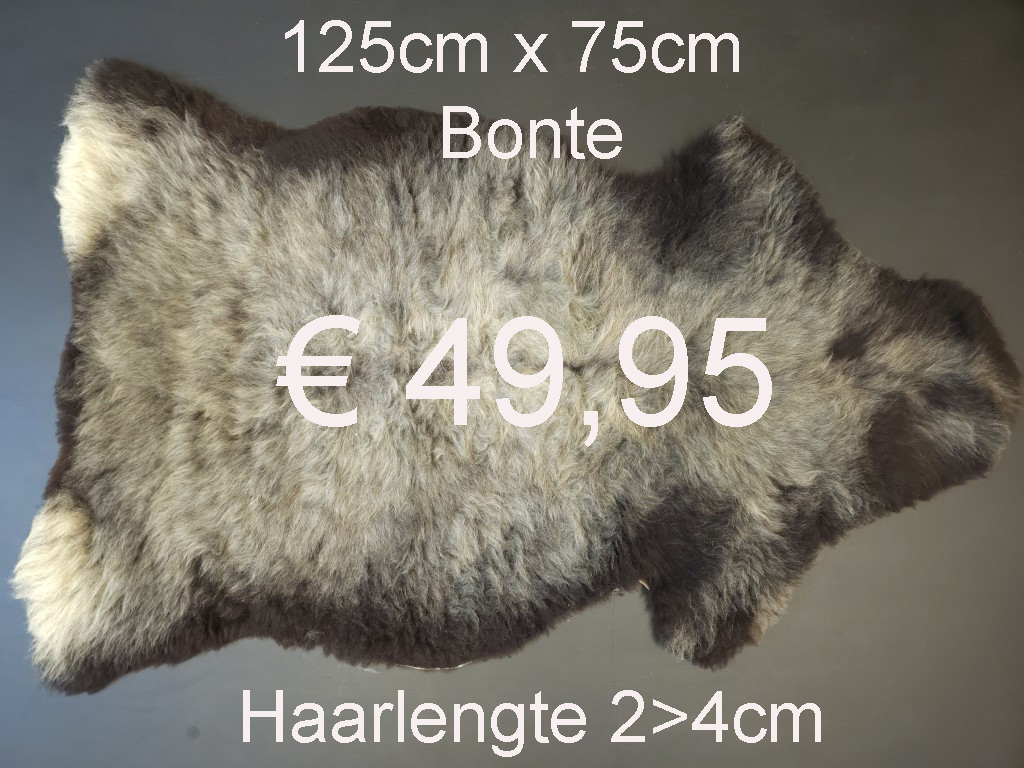 BONTE Schapenvacht schapenvel schapenhuid Vacht > klik 2x op de foto < (No.40)