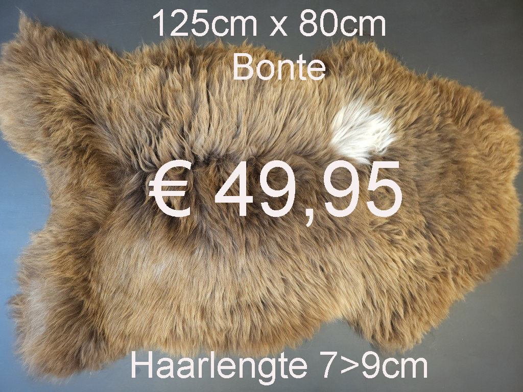 BONTE Schapenvacht schapenvel schapenhuid Vacht > klik 2x op de foto < (No.41)