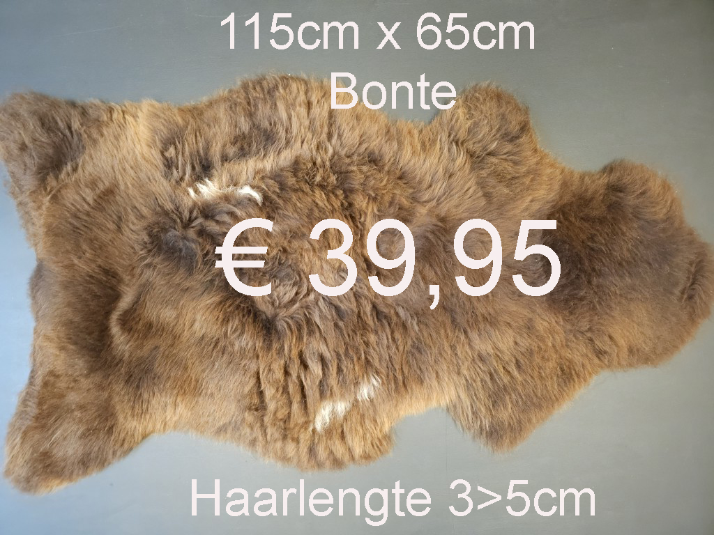 BONTE Schapenvacht schapenvel schapenhuid Vacht > klik 2x op de foto < (No.42)