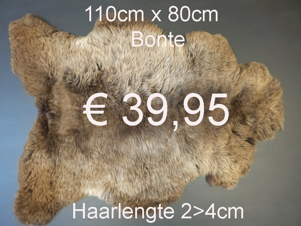 BONTE Schapenvacht schapenvel schapenhuid Vacht > klik 2x op de foto < (No.43)