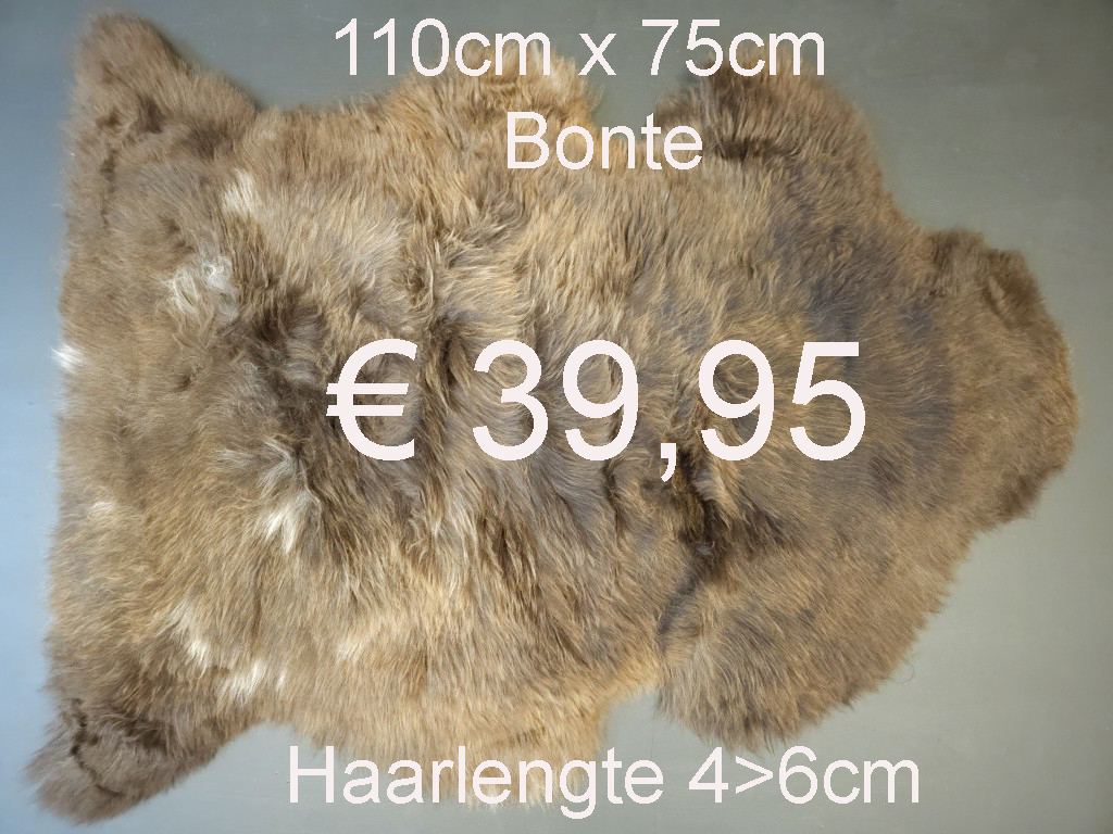 BONTE Schapenvacht schapenvel schapenhuid Vacht > klik 2x op de foto < (No.44)