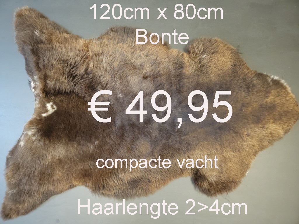 BONTE Schapenvacht schapenvel schapenhuid Vacht > klik 2x op de foto < (No.48)