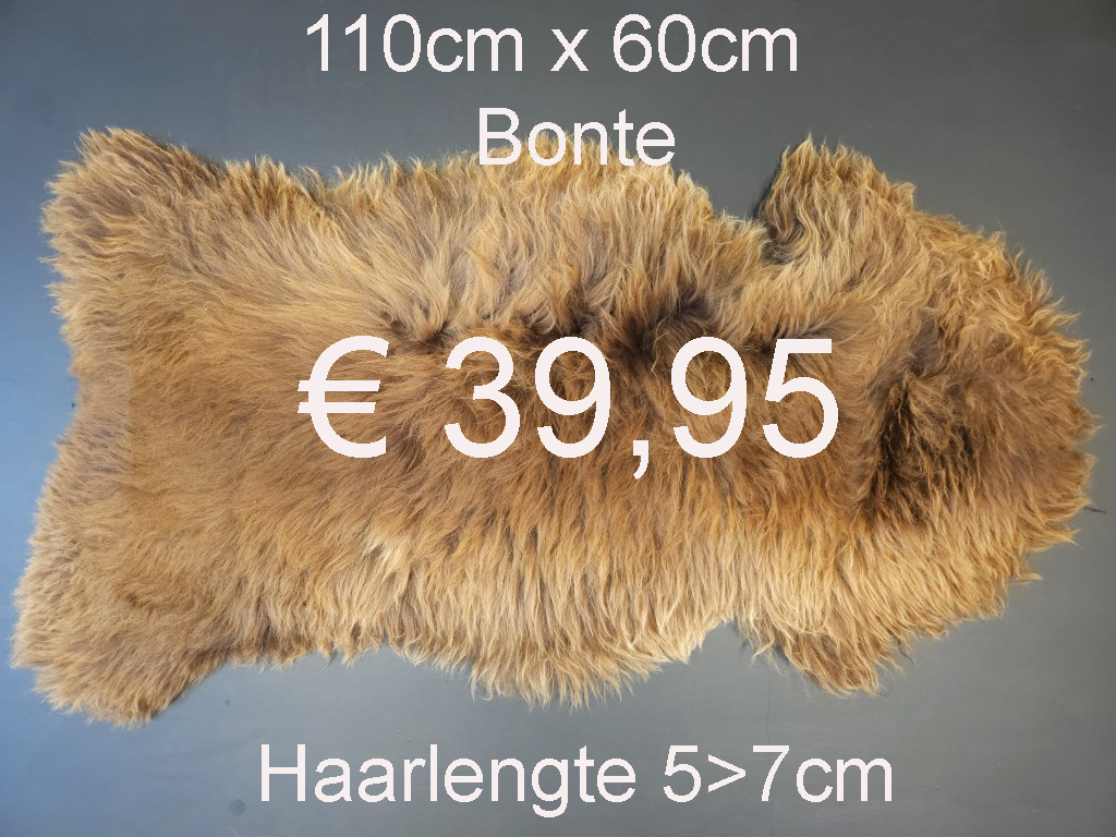 BONTE Schapenvacht schapenvel schapenhuid Vacht > klik 2x op de foto < (No.49)